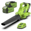 Greenworks Bladblazer/Zuiger 40V DIGIPRO Met 2x 2.0Ah Accu En Lader -Makita Verkoopwinkel 13558 0 800x800 1